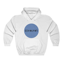 Load image into Gallery viewer, CRAZY COLORS GLAUCOUS HOODED SWEATSHIRT